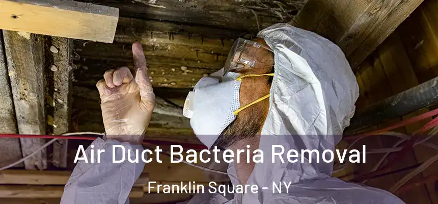 Air Duct Bacteria Removal Franklin Square - NY