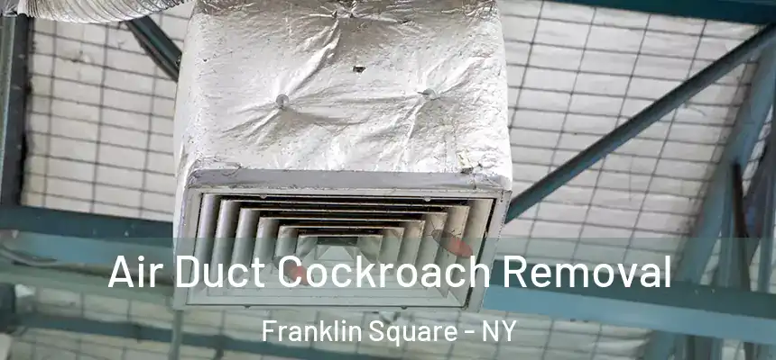 Air Duct Cockroach Removal Franklin Square - NY