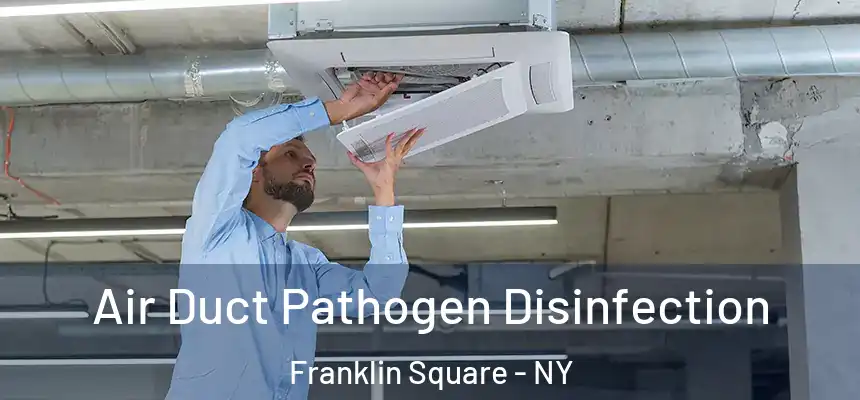Air Duct Pathogen Disinfection Franklin Square - NY
