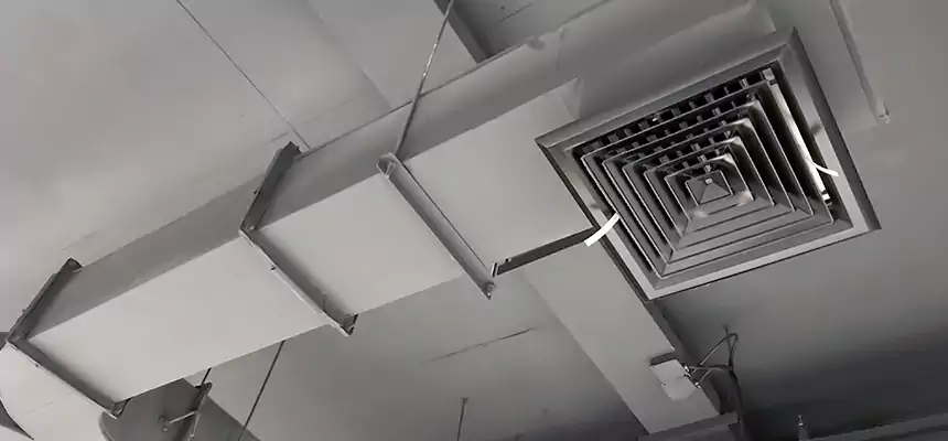 Restorative Allergy Relief Vent Cleaning – Coil, Blower & Housing Detail in Franklin Square