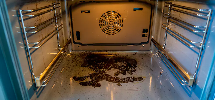 Our Dryer Vent Mold Cleaning Services in Franklin Square, NY