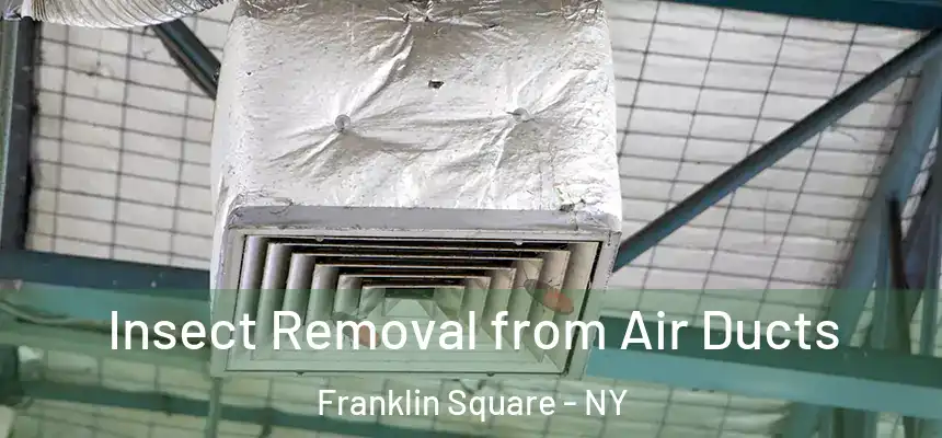 Insect Removal from Air Ducts Franklin Square - NY