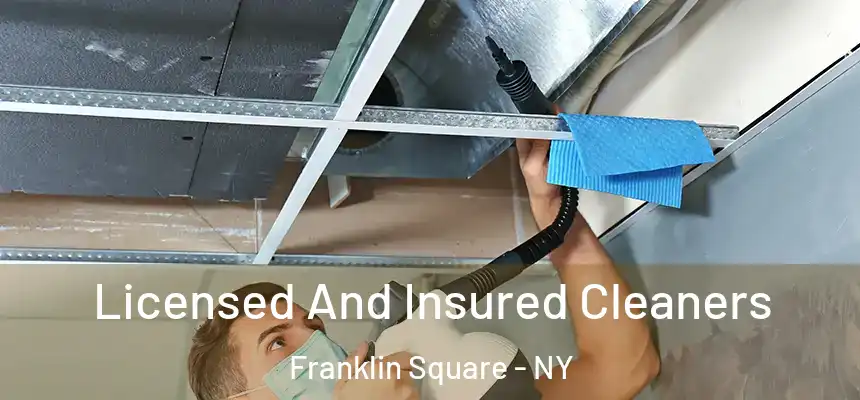  Licensed And Insured Cleaners Franklin Square - NY