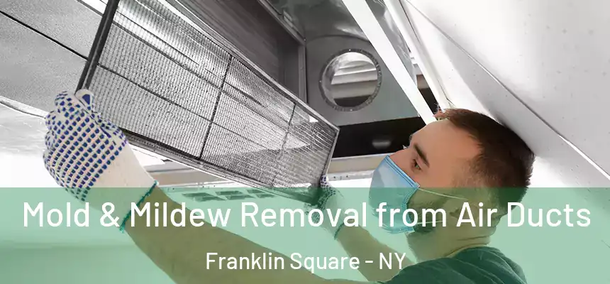 Mold & Mildew Removal from Air Ducts Franklin Square - NY