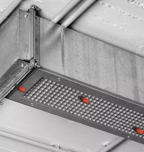 Affordable Insect Removal from Air Ducts in Franklin Square, NY