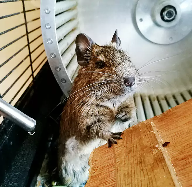 Why Homeowners & Businesses Trust Us Franklin Square, NY